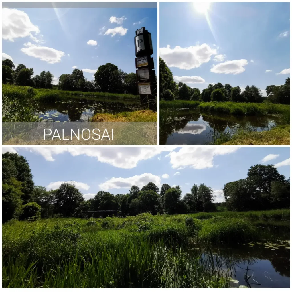 palnosai scaled